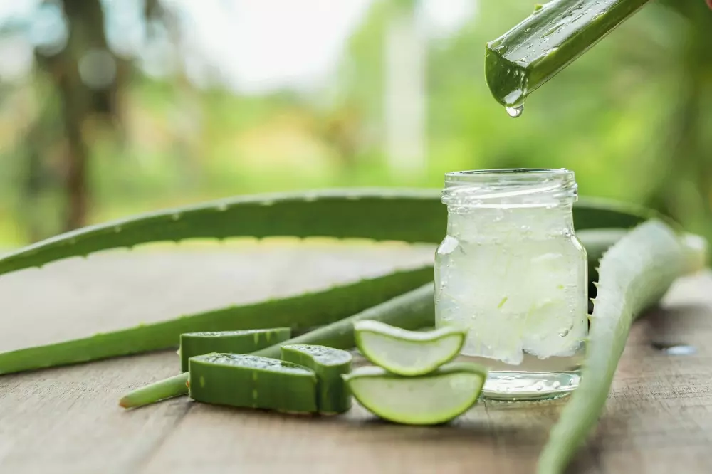 Beneficios de tomar aloe vera con Goya Europa