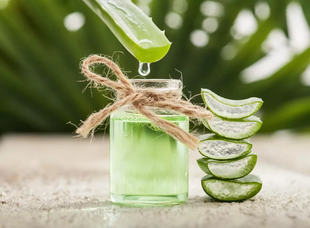 Beneficios de tomar aloe vera con Goya Europa