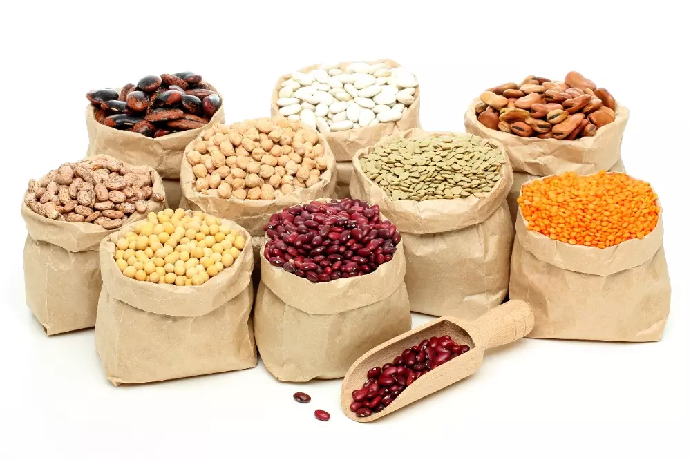 Alubias y frijoles by Goya Europa