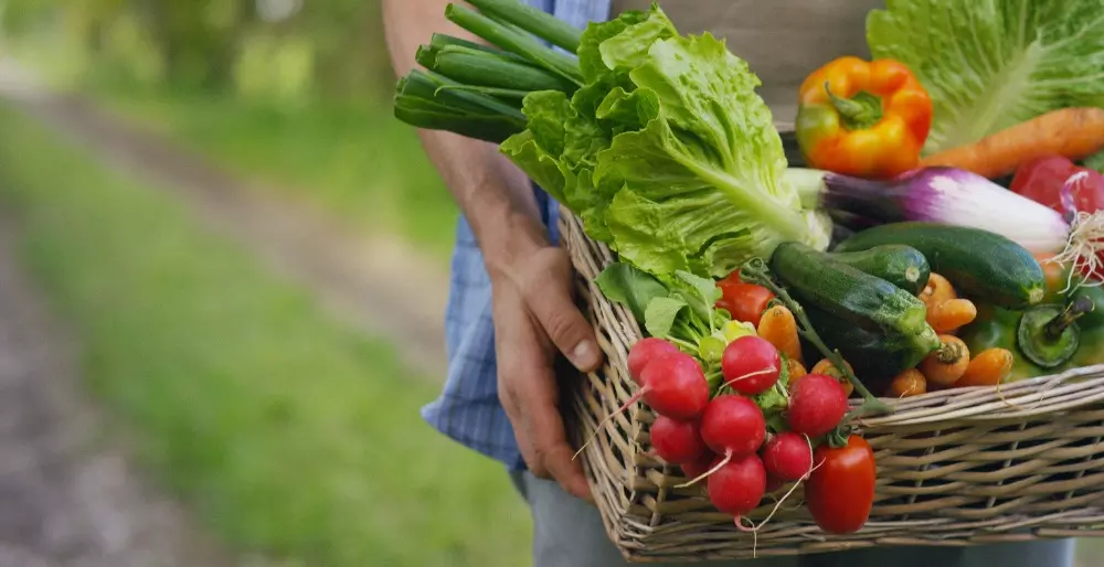 Recetas veganas con frutas y verduras de temporada